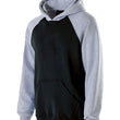 Load image into Gallery viewer, Youth Cotton/Poly Fleece Banner Hooded Sweatshirt
