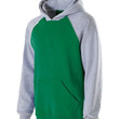 Load image into Gallery viewer, Youth Cotton/Poly Fleece Banner Hooded Sweatshirt
