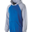 Load image into Gallery viewer, Youth Cotton/Poly Fleece Banner Hooded Sweatshirt
